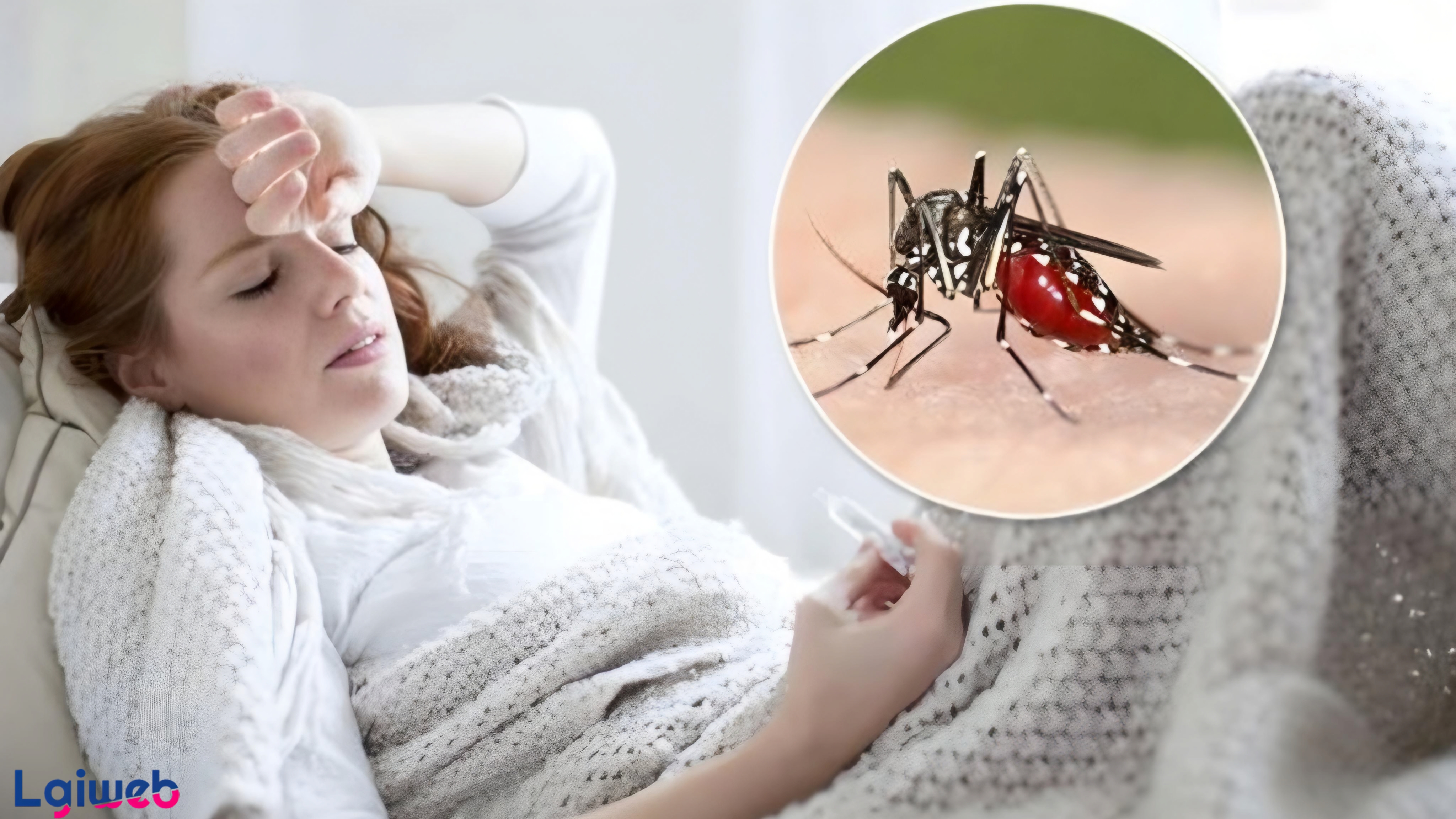 Sốt Rét Là Gì? Sốt Rét Là Gì?