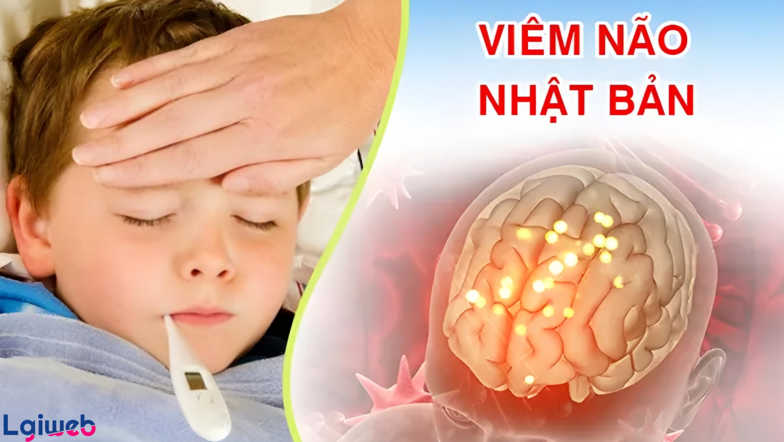 Bệnh Viêm Não Nhật Bản Là Gì? Bệnh Viêm Não Nhật Bản Là Gì?