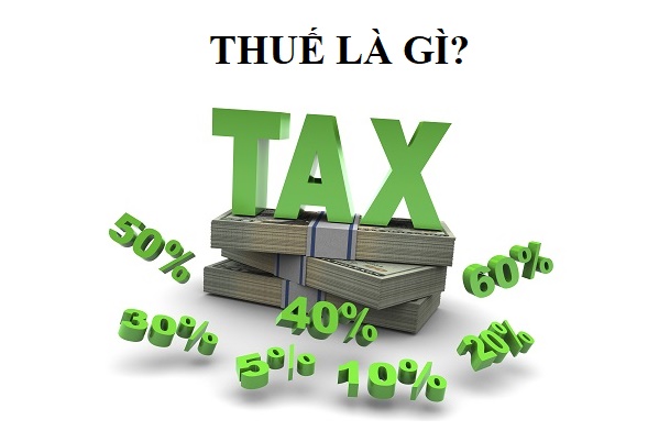 Thuế (Taxes) là gì? Thuế (Taxes) là gì?