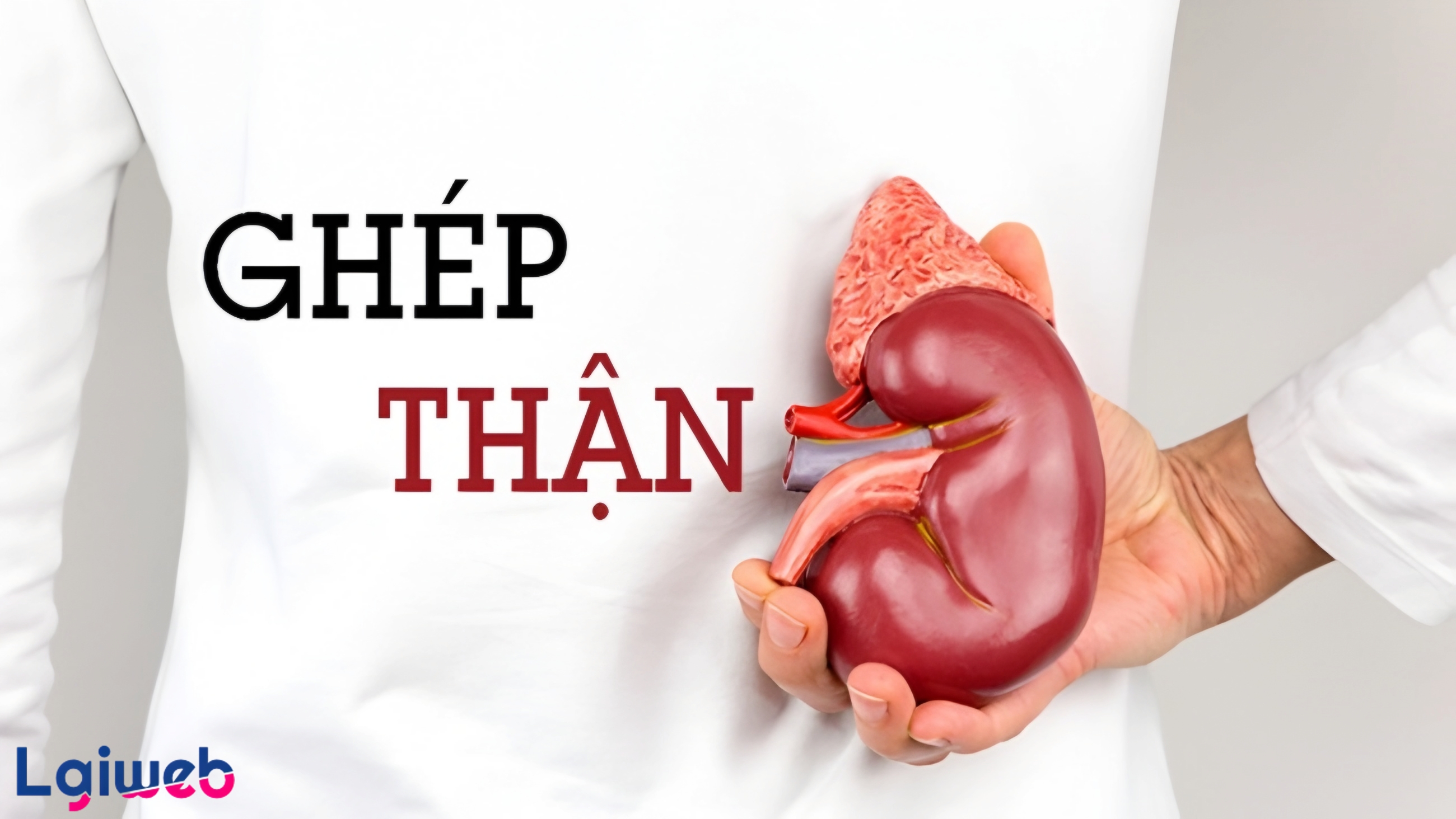 Ghép thận là gì? Ghép thận là gì?