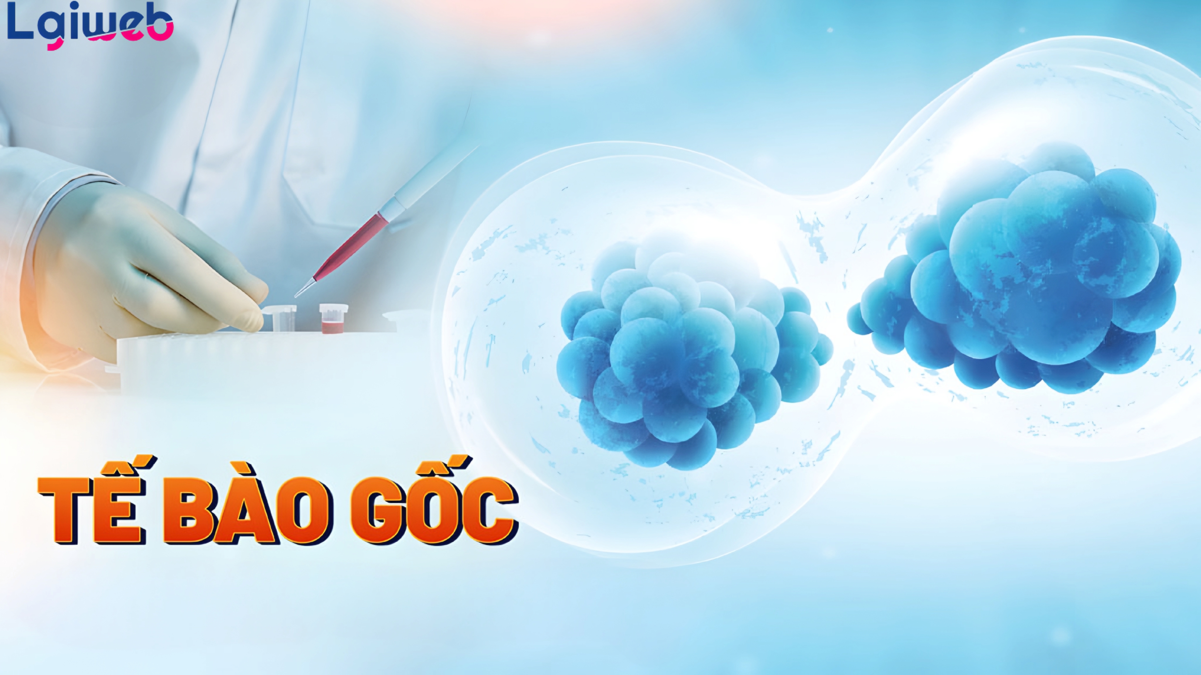 Liệu pháp tế bào gốc là gì? Liệu pháp tế bào gốc là gì?