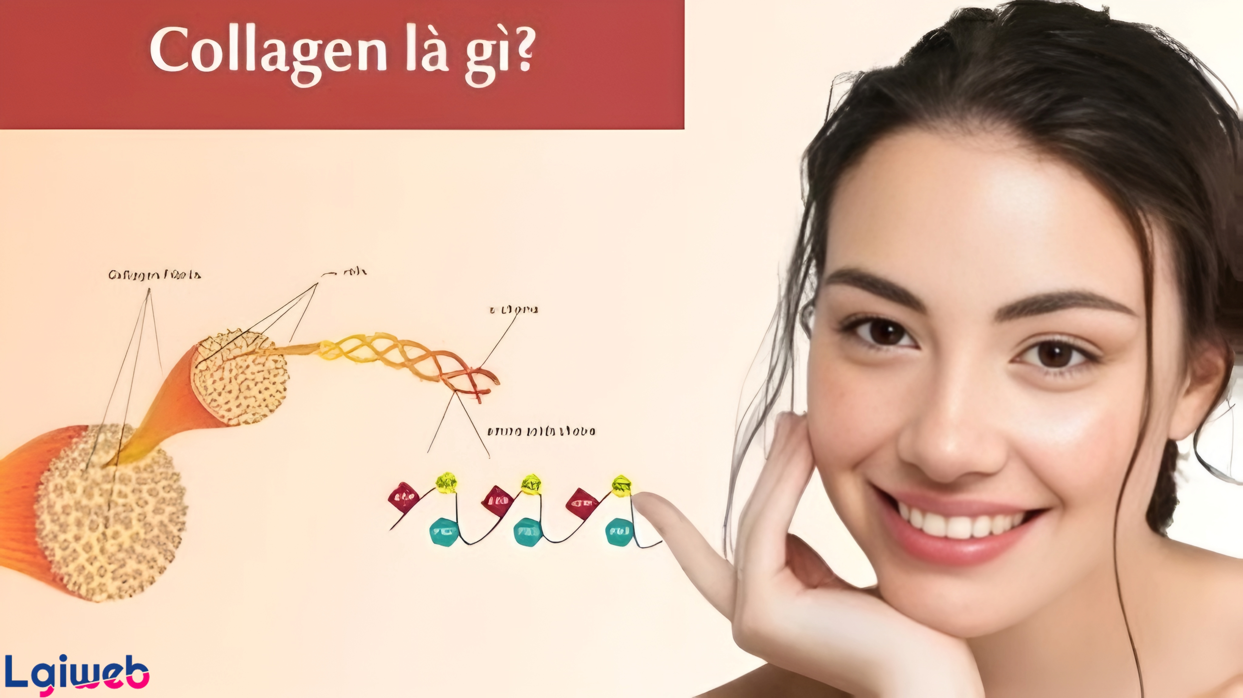 Collagen là gì? Collagen là gì?