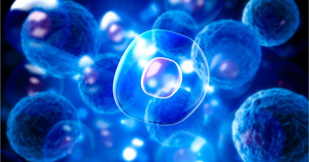 Chức năng tế bào (Cell Function) là gì? Chức năng tế bào (Cell Function) là gì?